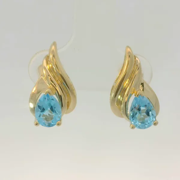 Earring Chipper's Jewelry Bonney Lake, WA