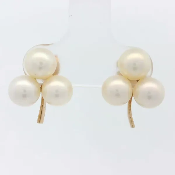 Earring Chipper's Jewelry Bonney Lake, WA