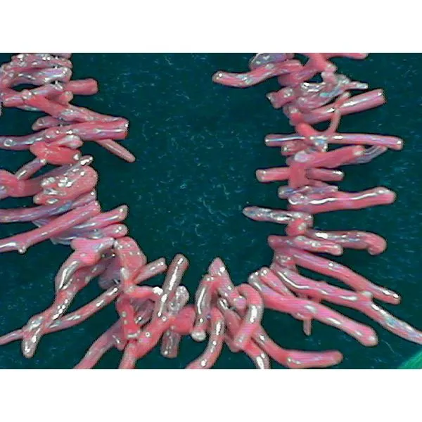 Native American Red Coral Necklace Chipper's Jewelry Bonney Lake, WA