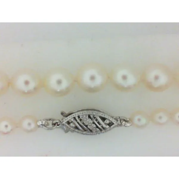 Akoya Cultured Pearl Graduated Strand Necklace Chipper's Jewelry Bonney Lake, WA