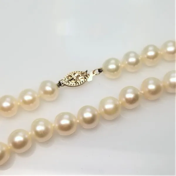 14K Yellow Gold Chinese Freshwater Cultured Pearl Necklace Image 2 Chipper's Jewelry Bonney Lake, WA