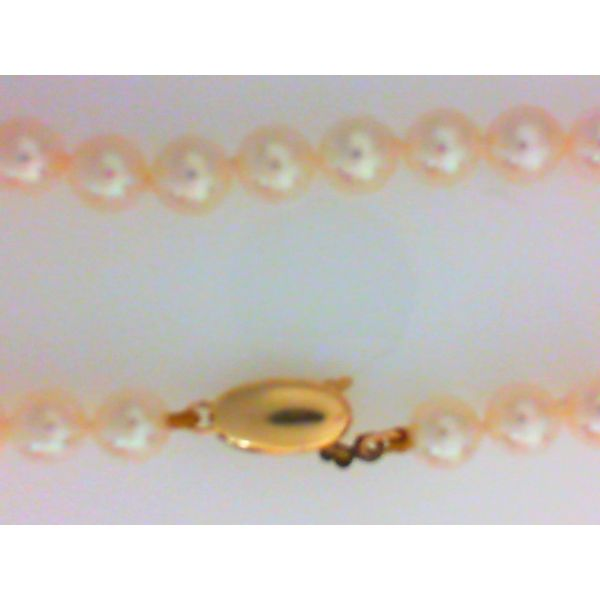 14K Yellow Gold Akoya Cultured White Bracelet Chipper's Jewelry Bonney Lake, WA