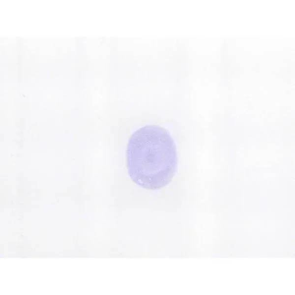 .83ct Oval Ellensburg Blue Loose Stone Chipper's Jewelry Bonney Lake, WA