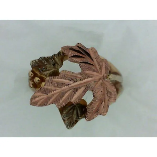 10K BHG Ring Size 4.5 Chipper's Jewelry Bonney Lake, WA