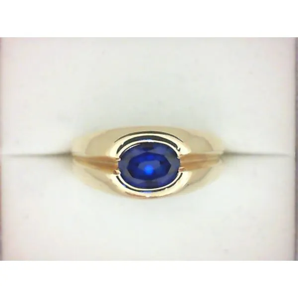 Men's 10K Gold Ring with Created Sapphire Chipper's Jewelry Bonney Lake, WA