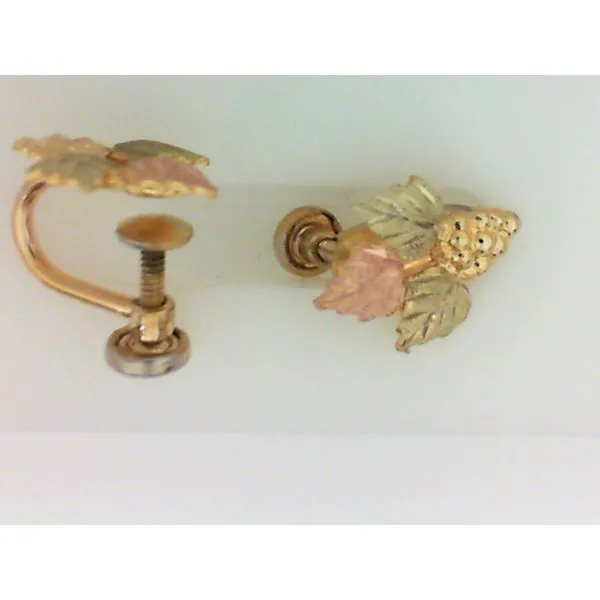 10K BHG Clips w/GF Screw On Backs Earrings Chipper's Jewelry Bonney Lake, WA