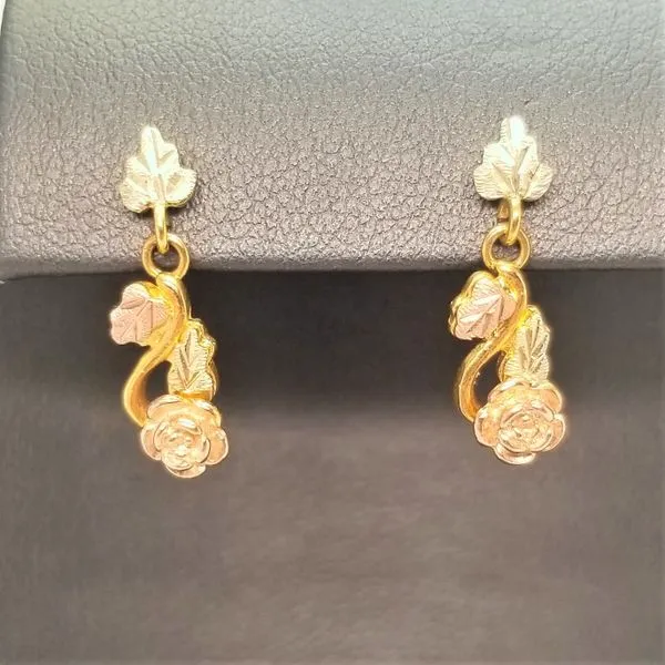 Earring Chipper's Jewelry Bonney Lake, WA