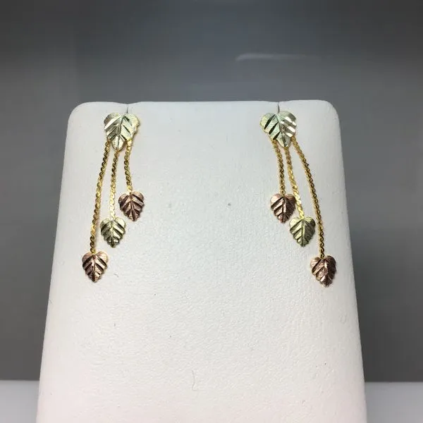 Earring Chipper's Jewelry Bonney Lake, WA