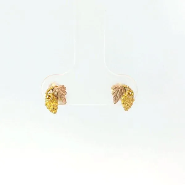 10K BHG Earrings with 14K Backs Image 2 Chipper's Jewelry Bonney Lake, WA