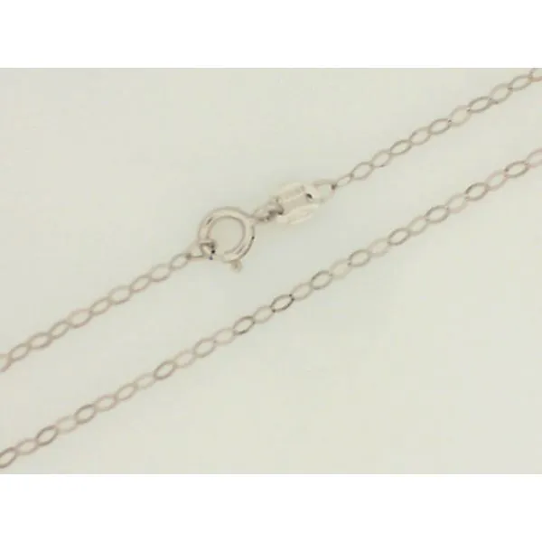 14Kt White Gold Piatto Style Chain Chipper's Jewelry Bonney Lake, WA