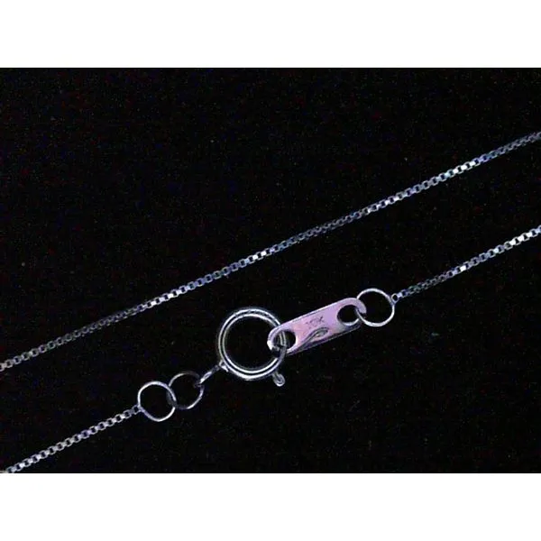10K White Gold Box Chain