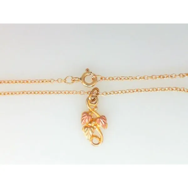 10K BHG Pendant on gf chain Chipper's Jewelry Bonney Lake, WA