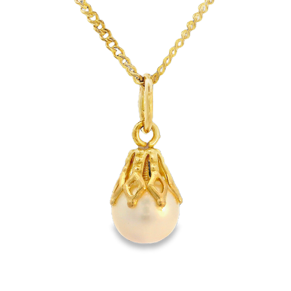 14K Yellow Gold Freshwater Pearl Pendant with 18.5 Inch Chain Chipper's Jewelry Bonney Lake, WA
