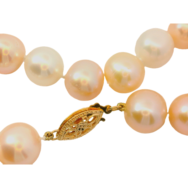 14K Yellow Gold Freshwater Cultured Pearl Bracelet Image 2 Chipper's Jewelry Bonney Lake, WA