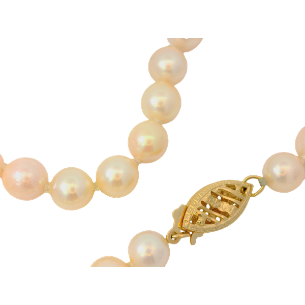 Akoya Cultured Pearl Bracelet with 14K Yellow Gold Clasp Chipper's Jewelry Bonney Lake, WA