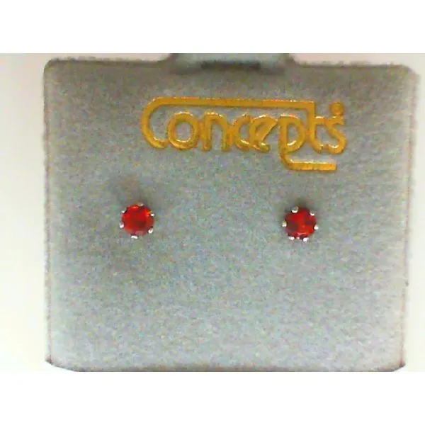Concepts Designs for Sensitive Ears Genuine Garnet Silver Tone Earrings Chipper's Jewelry Bonney Lake, WA