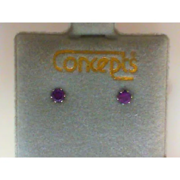 Concepts Designs for Sensitive Ears Genuine Amethyst Silver Tone Earrings Image 2 Chipper's Jewelry Bonney Lake, WA