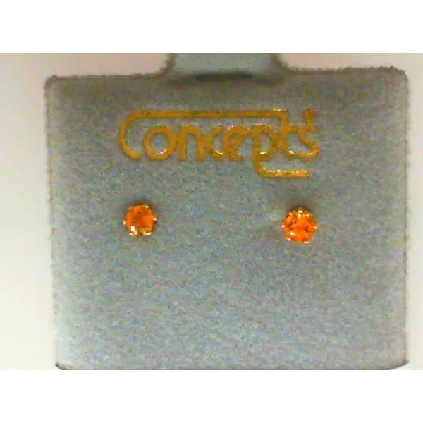 Concepts Designs for Sensitive Ears Chipper's Jewelry Bonney Lake, WA