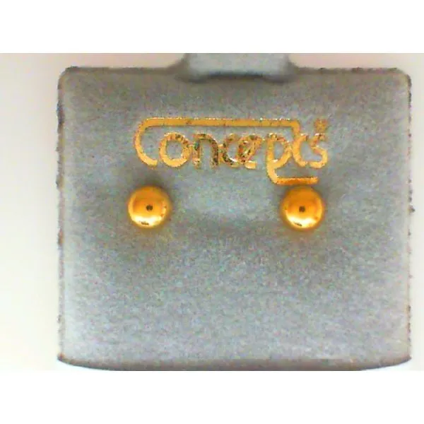 Concepts Designs for Sensitive Ears Chipper's Jewelry Bonney Lake, WA