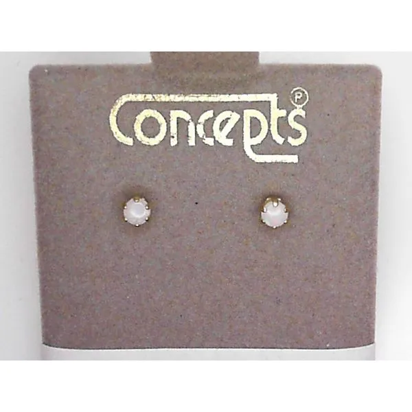 Concepts Designs for Sensitive Ears Chipper's Jewelry Bonney Lake, WA