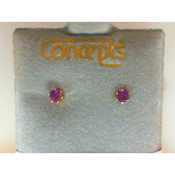 Genuine Amethyst Gold Tone Earrings Chipper's Jewelry Bonney Lake, WA