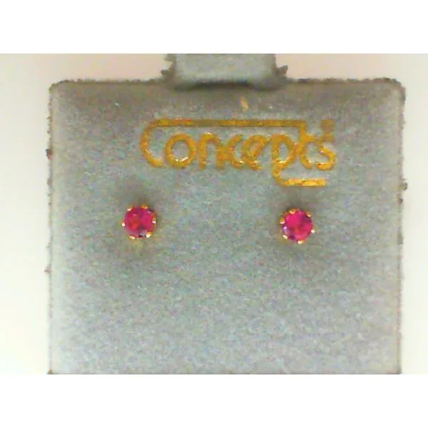 Concepts Designs for Sensitive Ears Chipper's Jewelry Bonney Lake, WA
