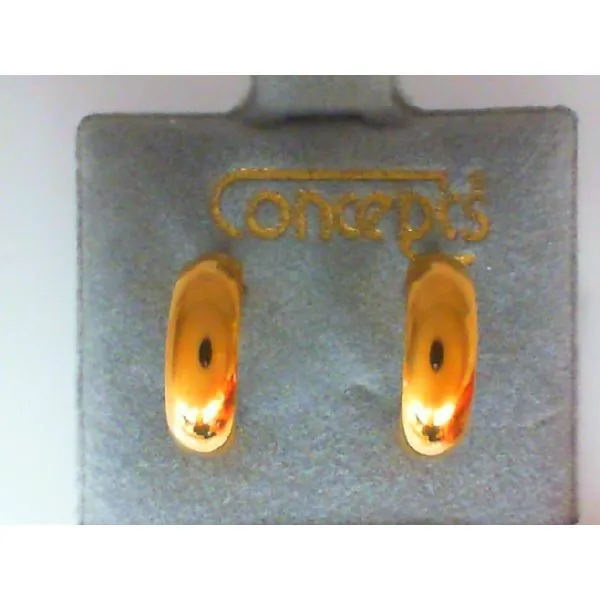 Concepts Designs for Sensitive Ears Chipper's Jewelry Bonney Lake, WA