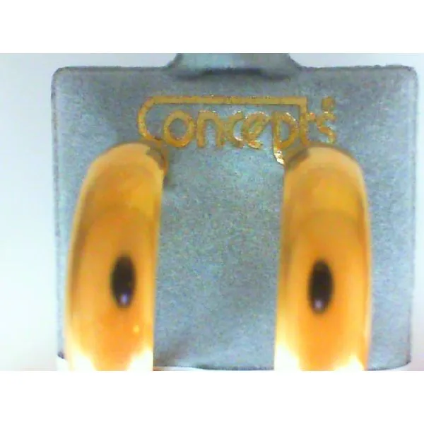 Concepts Designs for Sensitive Ears Chipper's Jewelry Bonney Lake, WA