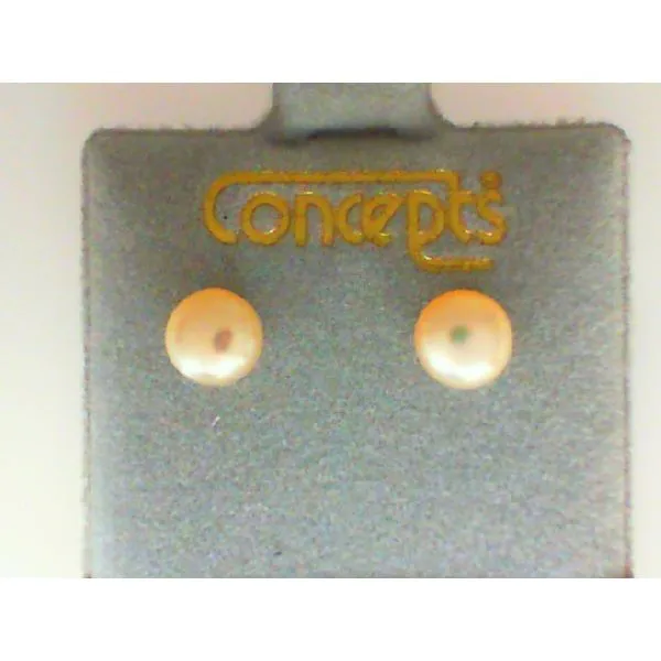 Concepts Designs for Sensitive Ears Image 2 Chipper's Jewelry Bonney Lake, WA