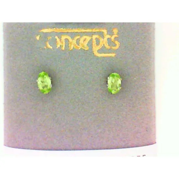 Concepts Designs for Sensitive Ears Image 2 Chipper's Jewelry Bonney Lake, WA