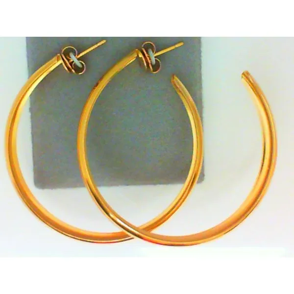 Concepts Designs for Sensitive Ears Earrings Chipper's Jewelry Bonney Lake, WA