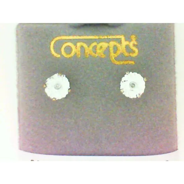 Concepts Designs for Sensitive Ears Chipper's Jewelry Bonney Lake, WA