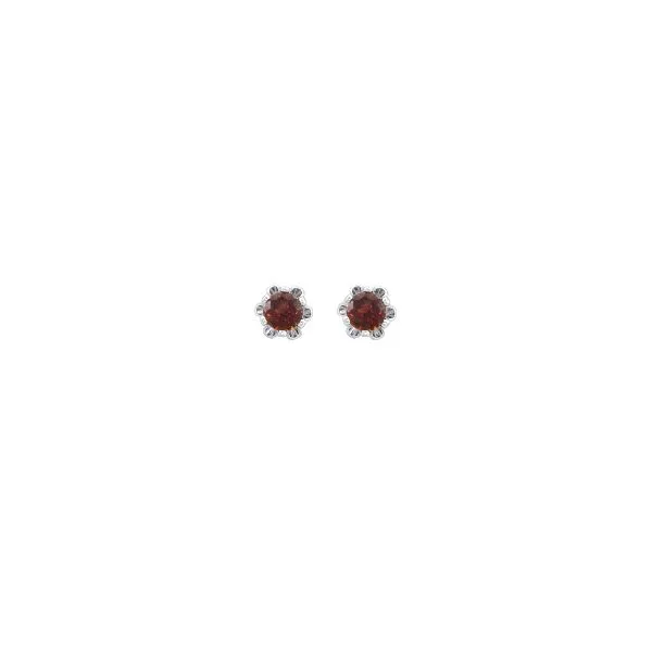 Concepts Designs for Sensitive Ears Chipper's Jewelry Bonney Lake, WA