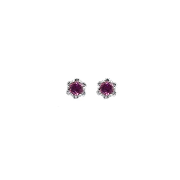 Concepts Designs for Sensitive Ears Chipper's Jewelry Bonney Lake, WA