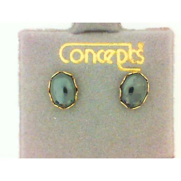 Concepts Designs for Sensitive Ears Chipper's Jewelry Bonney Lake, WA
