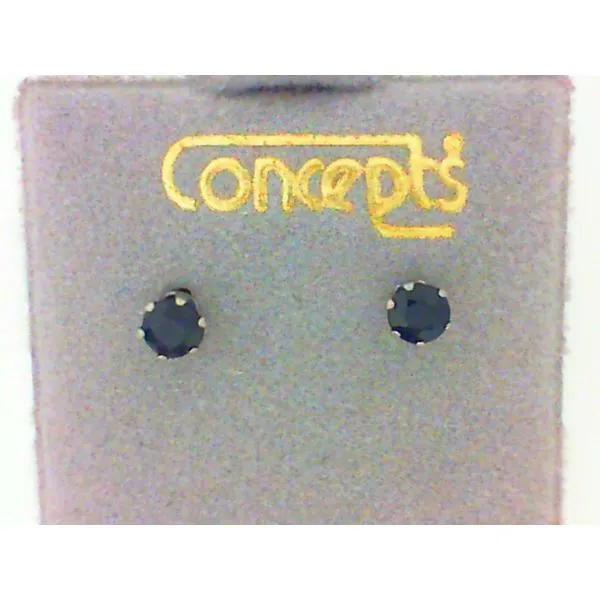 Concepts Designs for Sensitive Ears Chipper's Jewelry Bonney Lake, WA