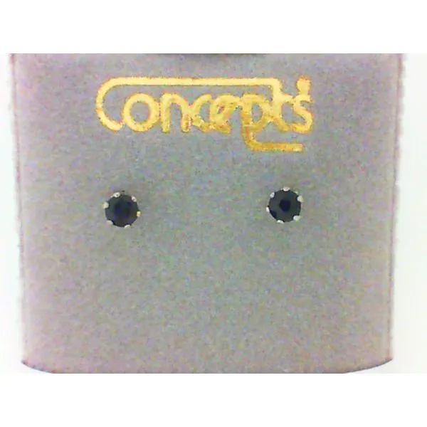 Concepts Designs for Sensitive Ears Chipper's Jewelry Bonney Lake, WA