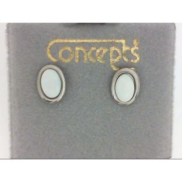 Concepts Designs for Sensitive Ears Chipper's Jewelry Bonney Lake, WA