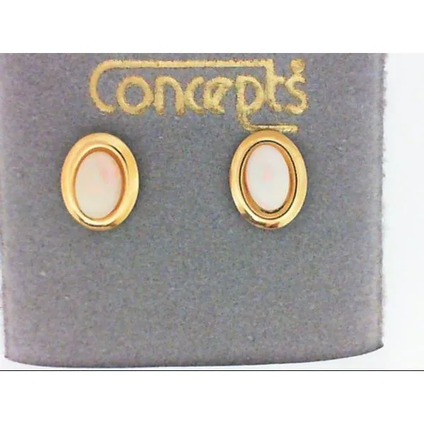 Concepts Designs for Sensitive Ears Chipper's Jewelry Bonney Lake, WA