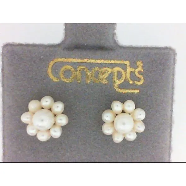 Concepts Designs for Sensitive Ears Earrings Chipper's Jewelry Bonney Lake, WA