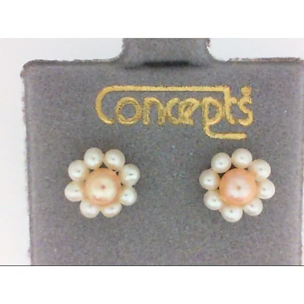 Concepts Designs for Sensitive Ears Earrings Chipper's Jewelry Bonney Lake, WA