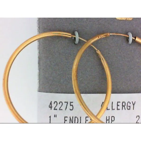 Concepts Designs for Sensitive Ears Chipper's Jewelry Bonney Lake, WA