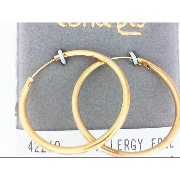 Concepts Designs for Sensitive Ears Chipper's Jewelry Bonney Lake, WA