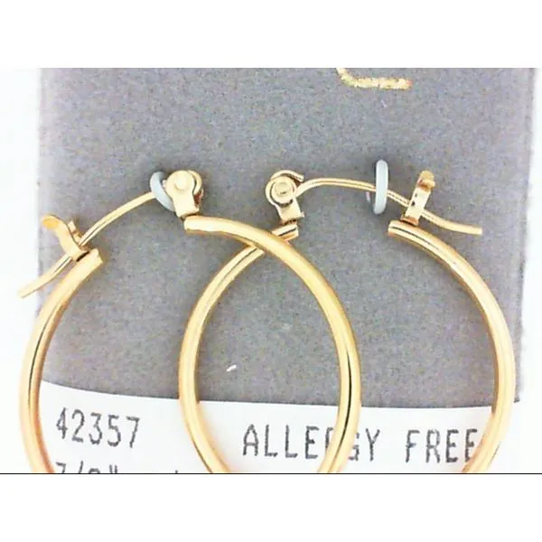 Concepts Designs for Sensitive Ears Chipper's Jewelry Bonney Lake, WA