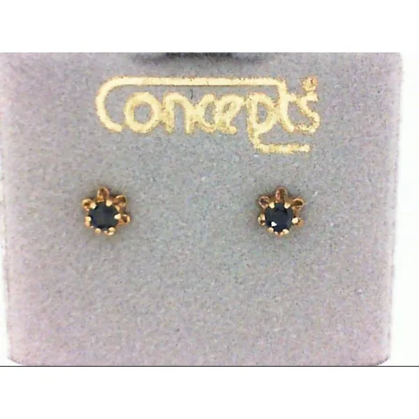 Concepts Designs for Sensitive Ears Chipper's Jewelry Bonney Lake, WA