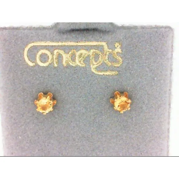 Concepts Designs for Sensitive Ears Chipper's Jewelry Bonney Lake, WA