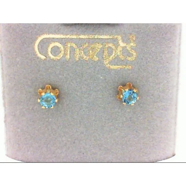 Concepts Designs for Sensitive Ears Chipper's Jewelry Bonney Lake, WA