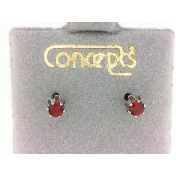 Concepts Designs for Sensitive Ears Genuine Garnet Earrings Chipper's Jewelry Bonney Lake, WA