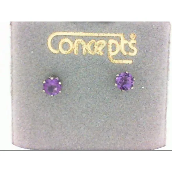 Concepts Designs for Sensitive Ears Image 2 Chipper's Jewelry Bonney Lake, WA