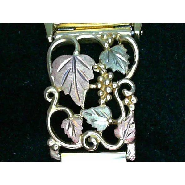 BHG Q&Q Watch with BHG Tips & Expansion Band Image 4 Chipper's Jewelry Bonney Lake, WA